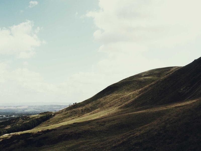 Fitness & Exercise Science